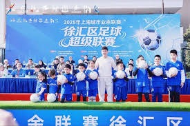 伊朗队世界杯签证问题引发关注